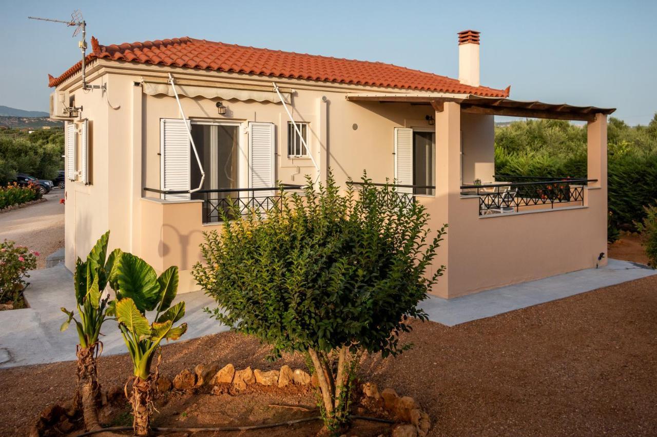 Lagouvardos Apartments Marathopoli Exterior photo